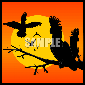 Bird Clipart