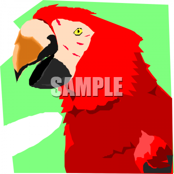 Bird Clipart