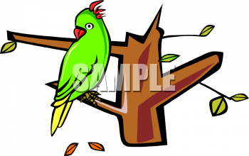 Bird Clipart