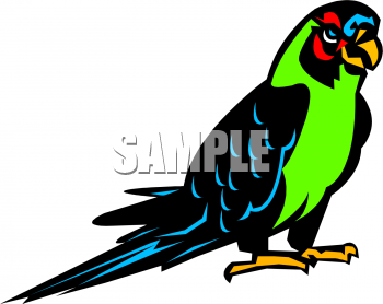 Bird Clipart