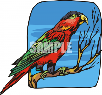 Bird Clipart