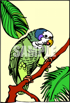 Bird Clipart