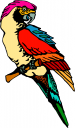 Bird Clipart