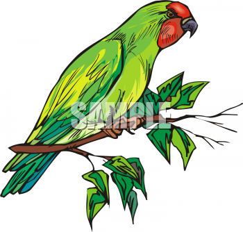 Bird Clipart