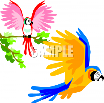 Bird Clipart