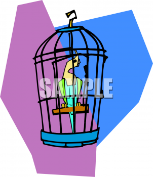 Bird Clipart