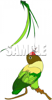Bird Clipart