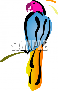 Bird Clipart