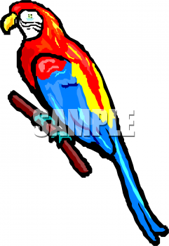 Bird Clipart
