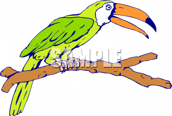 Bird Clipart