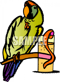 Bird Clipart