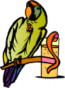 Bird Clipart