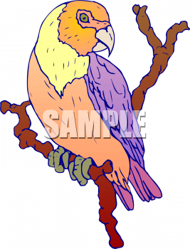 Bird Clipart