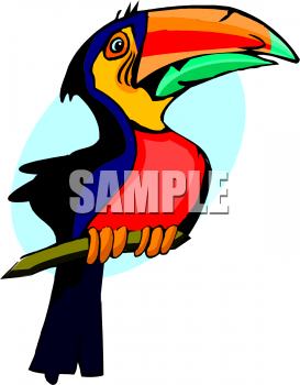 Bird Clipart