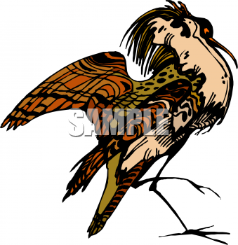 Bird Clipart