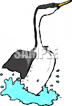 Bird Clipart