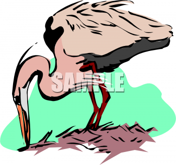 Bird Clipart