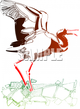 Bird Clipart