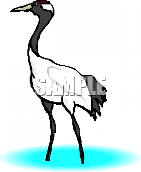 Bird Clipart