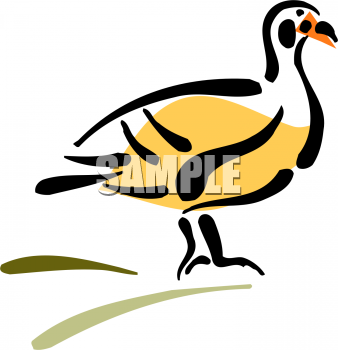 Bird Clipart