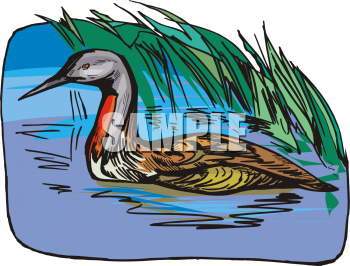 Bird Clipart