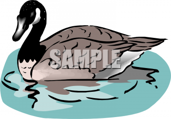 Bird Clipart