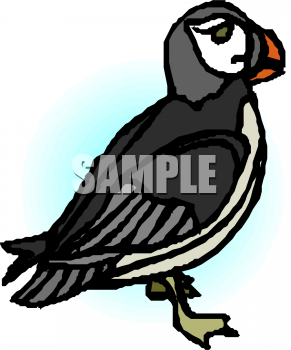Bird Clipart