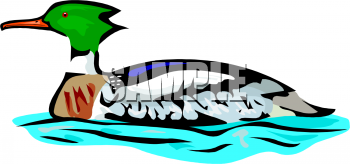 Bird Clipart