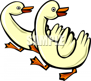 Bird Clipart