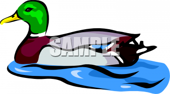 Bird Clipart