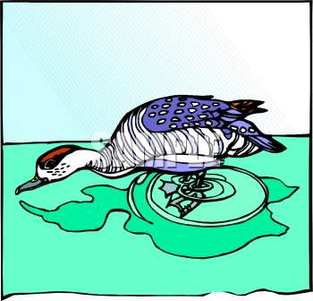 Bird Clipart