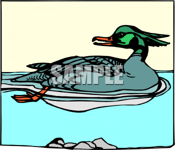Bird Clipart