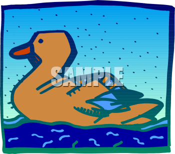 Bird Clipart
