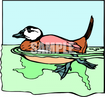 Bird Clipart