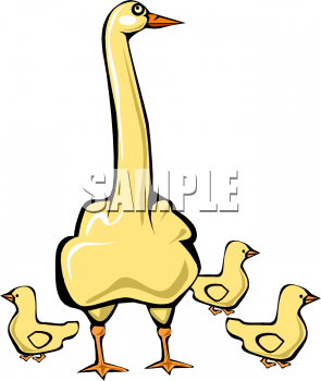 Bird Clipart