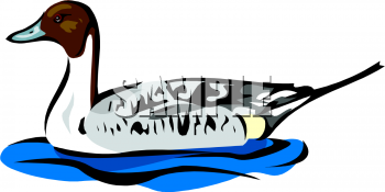 Bird Clipart