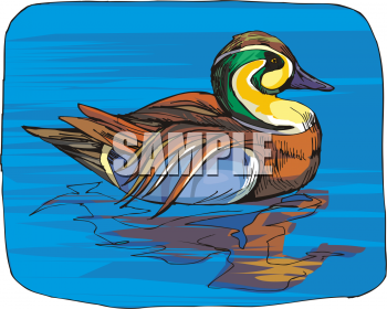 Bird Clipart