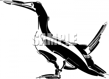 Bird Clipart