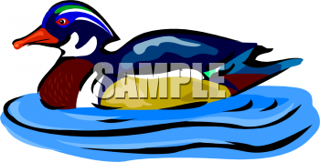 Bird Clipart