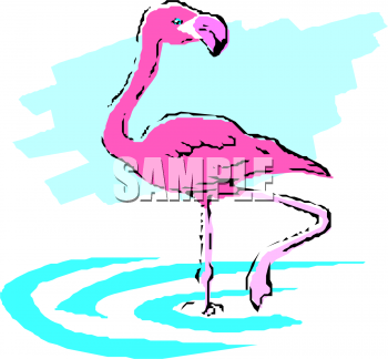 Bird Clipart