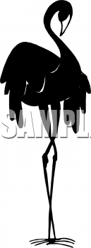 Bird Clipart