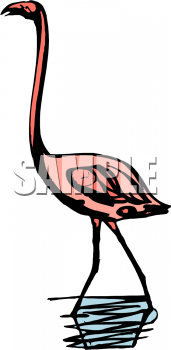 Bird Clipart