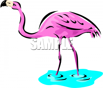 Bird Clipart