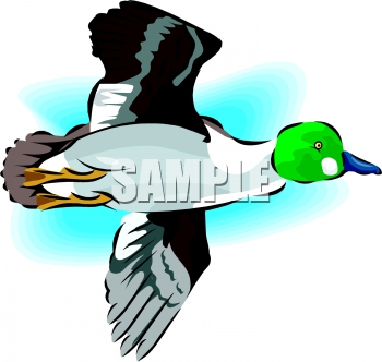 Bird Clipart