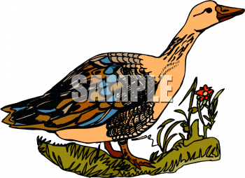 Farm Animal Clipart
