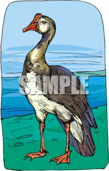 Bird Clipart