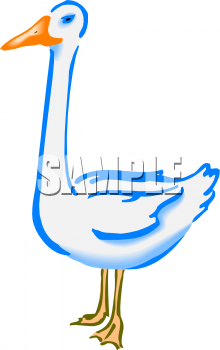 Bird Clipart