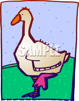 Bird Clipart