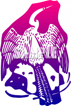 Bird Clipart