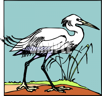 Bird Clipart